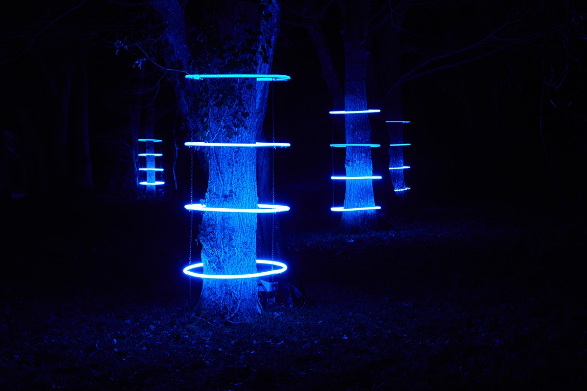 Troncs d’arbre la nuit, chacun éclairés par 4 cercles LED autour de leur tronc