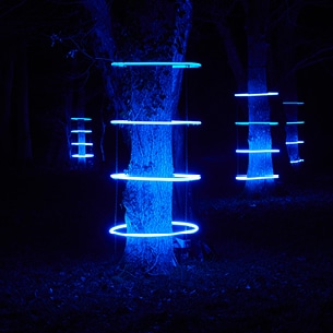 Troncs d’arbre la nuit, chacun éclairés par 4 cercles LED autour de leur tronc