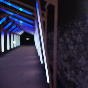Construction autoportée en bois avec lignes de lumières LED pour une immersion visuelle et sonore du visiteur