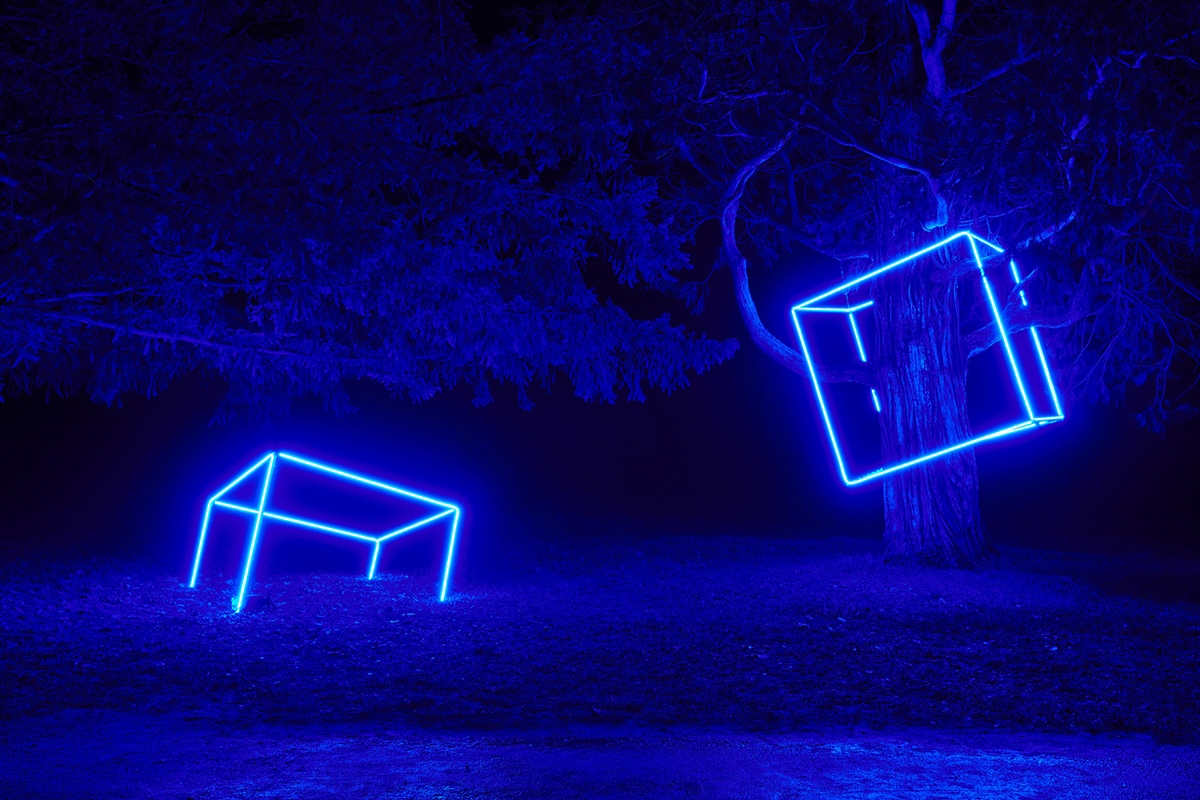 Cube LED bleu autour d’un tronc d’arbre la nuit