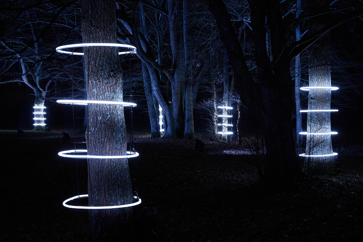 Tronc d’arbre éclairé par 4 cercles de lumière blanche dans le parc de l’Abbaye royale de l’Épau